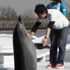 Hisami Iwamatsu