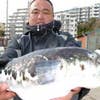 Yoshinari Umezawa