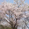 Daisuke  Shiina