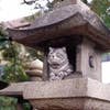 Hidenobu  Takahashi