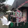 Motonori Mihara