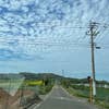永本 ちさ