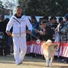 Eiji Arai