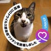 山本 勝美