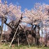 Hiroshi Kawamura