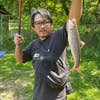 Kazuto Kobayashi