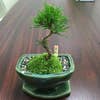木村元幸