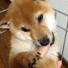 石井孝夫