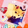 kaori  ito