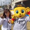 仲本工事