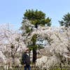 Kenji Ashida