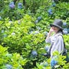 Chieko  Fujii