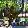 Midori Baba