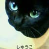 N.KAZUMI