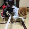 豊田貴子