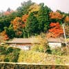 Kouichirou Shiiba