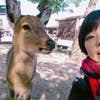Ä hiroka