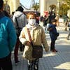 K.miya