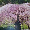 Hiro Okuto