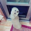 かたやま せいや