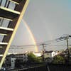 松本 ひかり