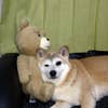 ひろまさ