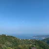 九島玲緒