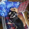 masahiko s