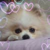 Rieco.H