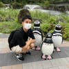 加藤健太