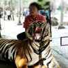 木村 洋介