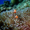 イズミ ケイゴ
