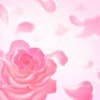 RINA.S