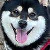 砂山大輔