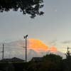 長谷川 佳樹