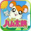 水野 めぐみ