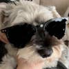 Yamaguchi Nana