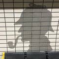 伊藤 大介