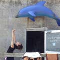 さやこ なかの