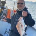 Toshi Nabe