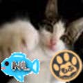 Ponochan