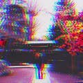 ねづ さおり