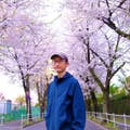 Sakurai Tadayoshi