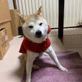 金子 雅人