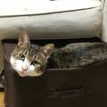 Yutaka Waida