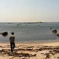 森島雄平