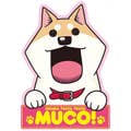なかすぃ(ナカシマケンイチ)