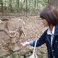 Akiko.C