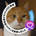 Kato Takashi