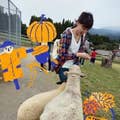 福島光葉